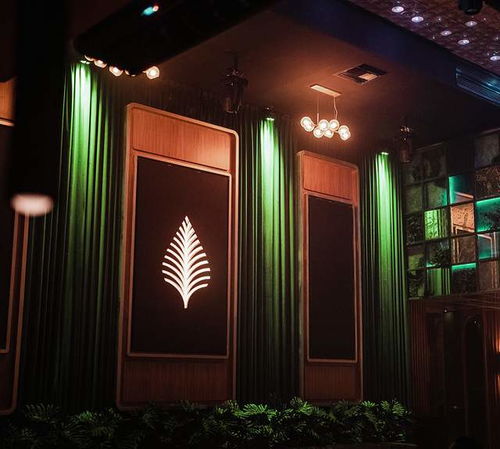 Café de Palma 打造沉浸式熱帶飲品品牌形象與網(wǎng)頁(yè)設(shè)計(jì)